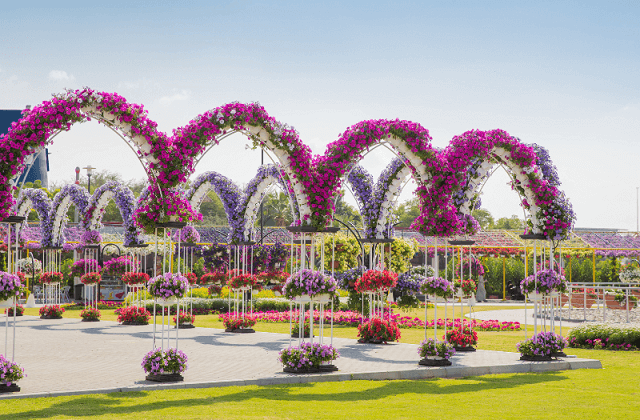 dubai miracle garden - Instagrammable Spots in Dubai